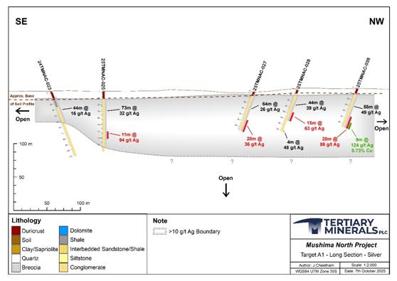 Diagram of a muschioid vessel AI-generated content may be incorrect.