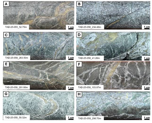 A close-up of different types of stone AI-generated content may be incorrect.
