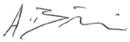 A picture containing text, hanger, insect Description automatically generated