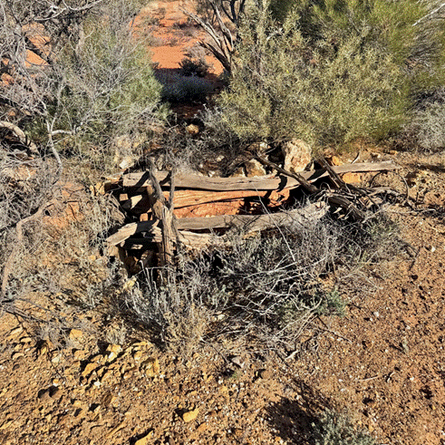 A broken wood in the desert AI-generated content may be incorrect.