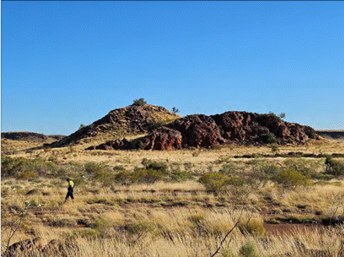 A person walking in a field AI-generated content may be incorrect.