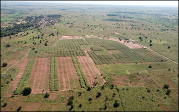 An aerial view of a farm AI-generated content may be incorrect.