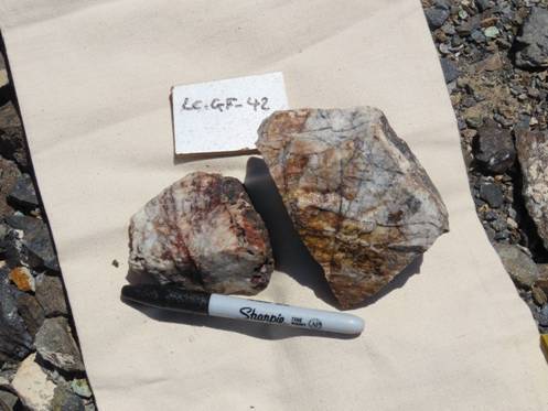 A close-up of some rocks AI-generated content may be incorrect.