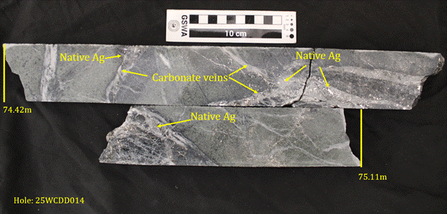 A close-up of a stone AI-generated content may be incorrect.