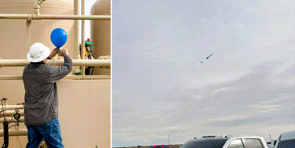 A group of cars in a parking lot Description automatically generated