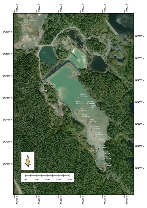 A map of a forest AI-generated content may be incorrect.