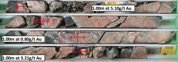 A shelf with rocks on it AI-generated content may be incorrect.