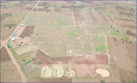 An aerial view of a farm AI-generated content may be incorrect.