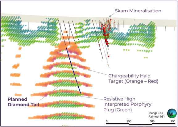 The image depicts a geological cross-section showing a skarn mineralization zone with a chargeability halo, indicating high resistivity, and a diamond tail, including a planned drill hole at a plunge of +05 and an azimuth of 081. AI-generated content may be incorrect.