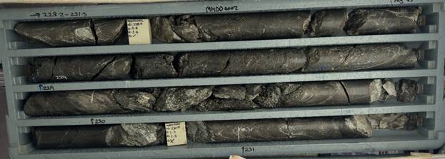 The text appears to be a series of geological data points, likely referring to measurements of rock samples, including mineral hardness (Mohs scale), density (D), and reflectivity (R), with various identifiers and sample numbers. AI-generated content may be incorrect.