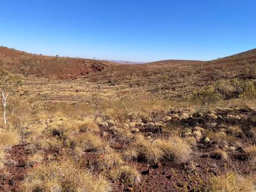Alien metals reports iron mineralisation at pilbara projects (ufo) 26Ba6D61 Bf5A 4E39 Be63 0D77F2Aa8709 (Ufo)
