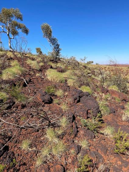 Alien metals reports iron mineralisation at pilbara projects (ufo) 875Bcaaf F529 4F9D Aaee 9Cadaea48A3C (Ufo)