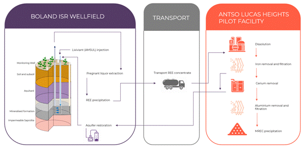 The diagram illustrates the process of extracting and processing REE (Rare Earth Elements) from a borehole, including stages such as dissolution, iron removal, filtration, and aquifer restoration, with various components like monitoring wells, pregnant liquor extraction, and precipitation. AI-generated content may be incorrect.