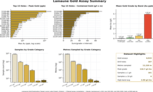 Summary charts of Lamaune gold assays