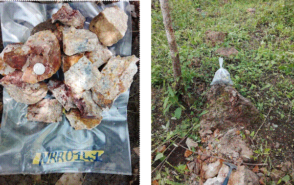 Oriole Resources reports high-grade gold results at Niambaram (ORR) 7c043349 294a 493a aae6 48a5a884dca0 (ORR)