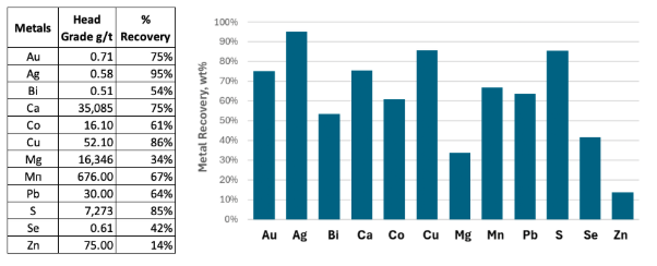 A graph of metal recovery
Description automatically generated