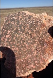 Picture 22