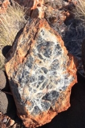 Picture 21